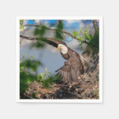 Bald Eagle verlaat het nest Servetten (Voorkant)