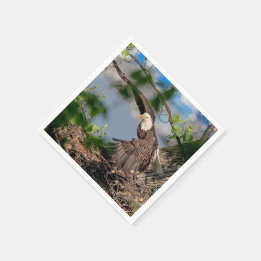 Bald Eagle verlaat het nest Servetten (Hoek)