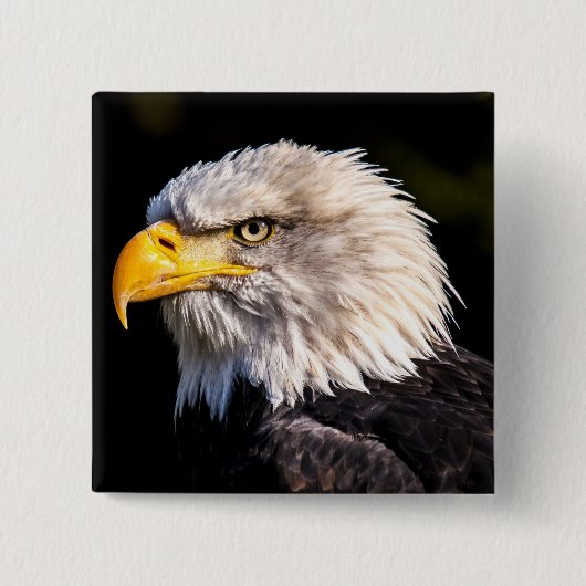 Bald Eagle Vierkante Button 5,1 Cm (Voorkant)
