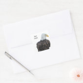 Bald Eagle Vierkante Sticker (Envelop)