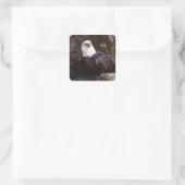 Bald Eagle Vierkante Sticker (Tas)