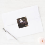 Bald Eagle Vierkante Sticker (Envelop)