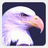 Bald Eagle Vierkante Sticker (Voorkant)