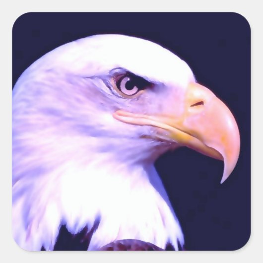 Bald Eagle Vierkante Sticker (Voorkant)