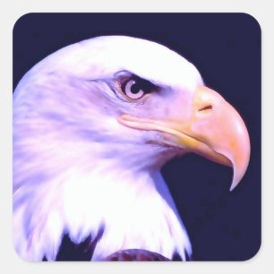 Bald Eagle Vierkante Sticker
