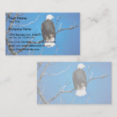 Bald Eagle Visitekaartje (Voorkant / Achterkant)