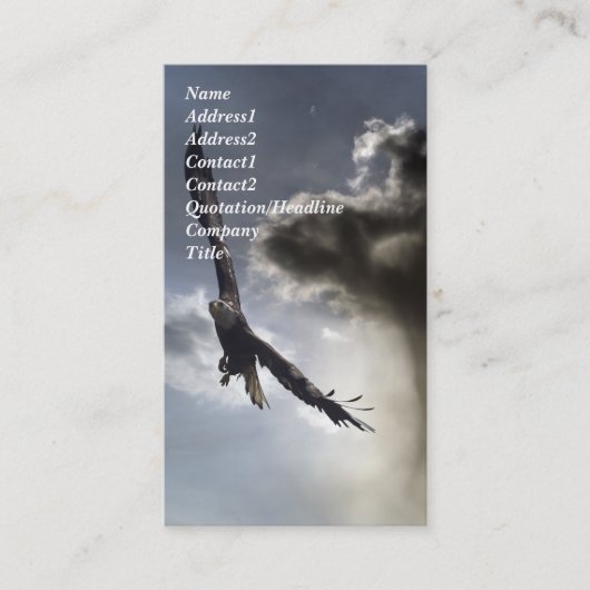 Bald Eagle Visitekaartje (Voorkant)
