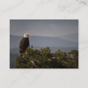 Bald Eagle - Visitekaartje