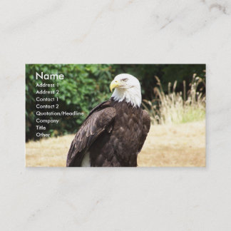 Bald Eagle. Visitekaartje