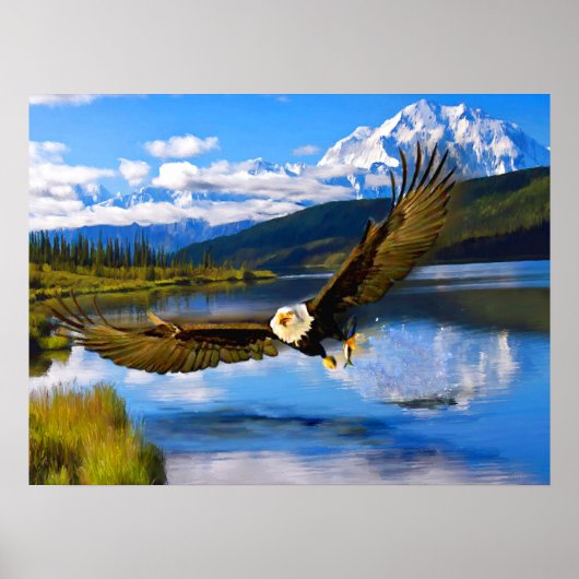 Bald Eagle Vist Denali 24-inch x 18-inch archiefpa Poster (Voorkant)