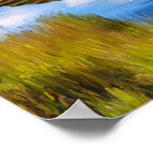 Bald Eagle Vist Denali 24-inch x 18-inch archiefpa Poster (Hoek)