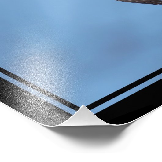 Bald Eagle vliegt Foto Afdruk (Hoek)