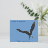Bald Eagle Vlucht Collectie II Briefkaart (Staand voorkant)