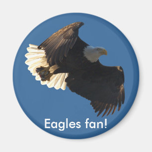 Bald Eagle Vlucht Collectie II Magneet