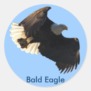 Bald Eagle Vlucht Collectie II Ronde Sticker