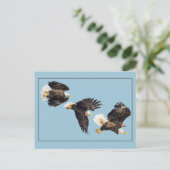 Bald Eagle Vlucht op blauw Briefkaart (Staand voorkant)