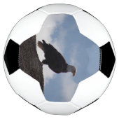 Bald Eagle-Voetbal Voetbal (Gedraaid)