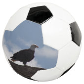 Bald Eagle-Voetbal Voetbal (Drie kwart)