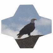 Bald Eagle-Voetbal Voetbal (Enkel)