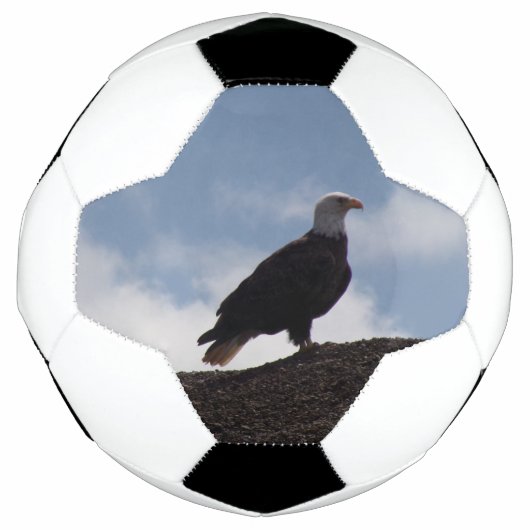 Bald Eagle-Voetbal Voetbal (Voorkant)
