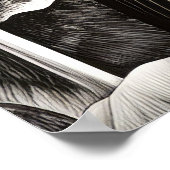 Bald Eagle Vreedzame Natuur Prairie Schets Tekenin Poster (Hoek)