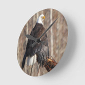 Bald Eagle Wall klok (Hoek)