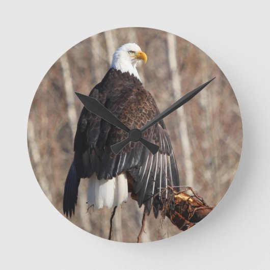 Bald Eagle Wall klok (Voorkant)