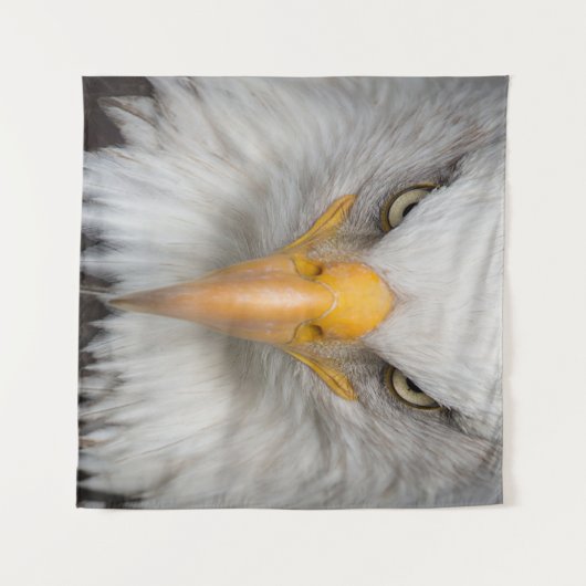 Bald eagle wandkleed (Voorkant (horizontaal))