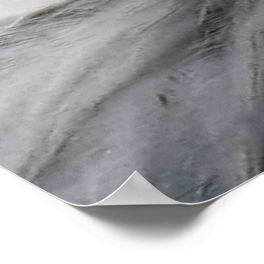 Bald Eagle wapcna Poster (Hoek)