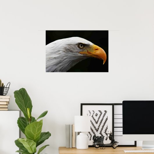 Bald Eagle wapcna Poster (Thuiskantoor)