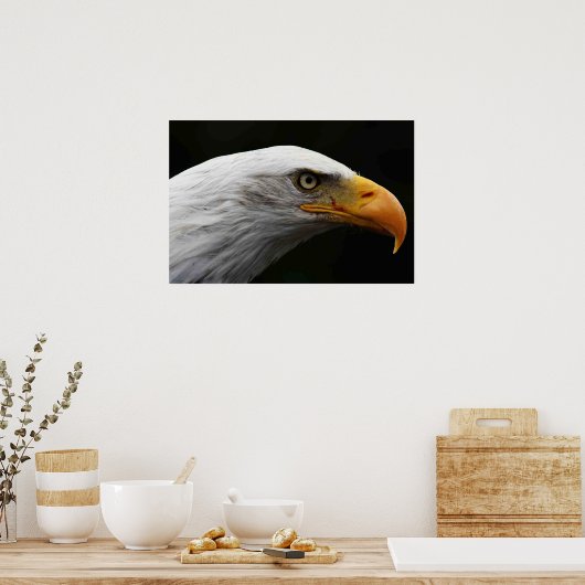 Bald Eagle wapcna Poster (Keuken)