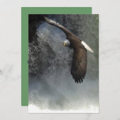Bald Eagle & Waterfall Invitation Kaarten (Voorkant / Achterkant)