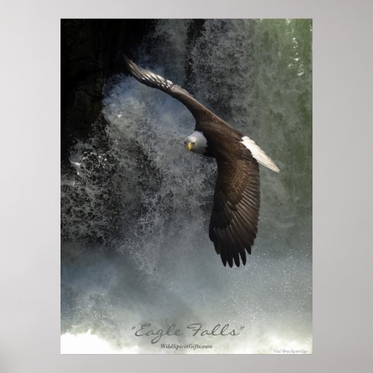 Bald Eagle & Waterfall Poster (Voorkant)