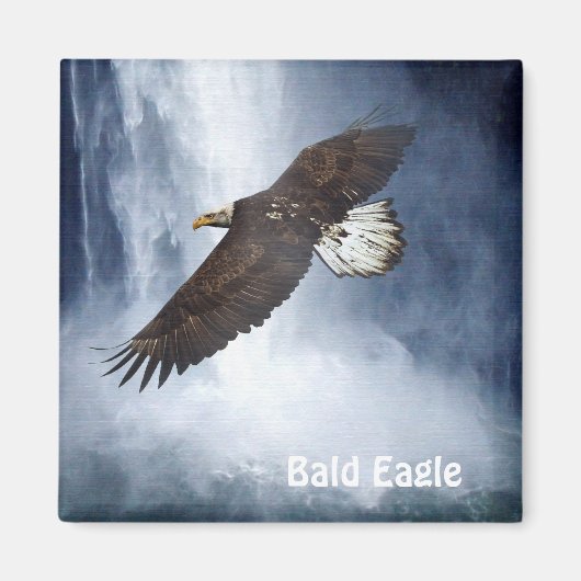 Bald Eagle & Waterfall Wildlife Natuur Magnet (Voorkant)
