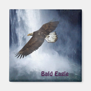 Bald Eagle & Waterfall Wildlife Natuur Magnet