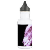 Bald Eagle Waterfles (Links)