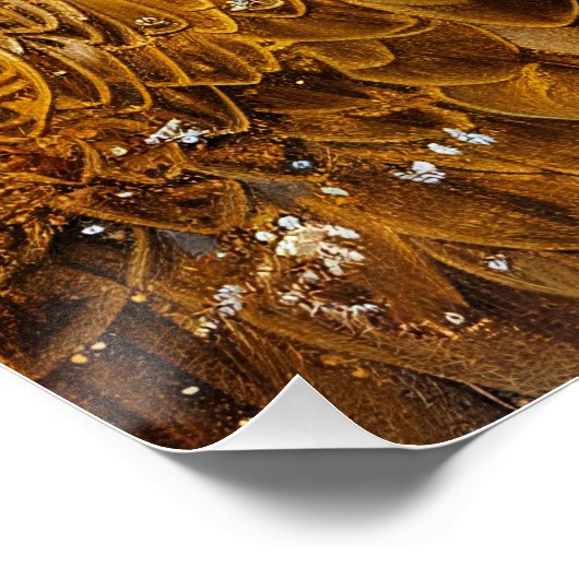 Bald Eagle Waterverf Mountains Perfect Poster (Hoek)