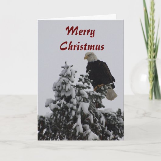 Bald Eagle Wenskaart Feestdagen Kaart (Voorkant)