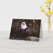 Bald Eagle Wenskaart Kaart (Gele Bloem)