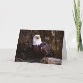 Bald Eagle Wenskaart Kaart (Voorkant)