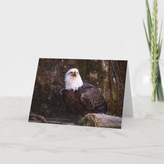 Bald Eagle Wenskaart Kaart (Voorkant)