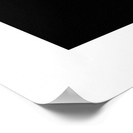 Bald Eagle Wildlife Poster Print (Hoek)