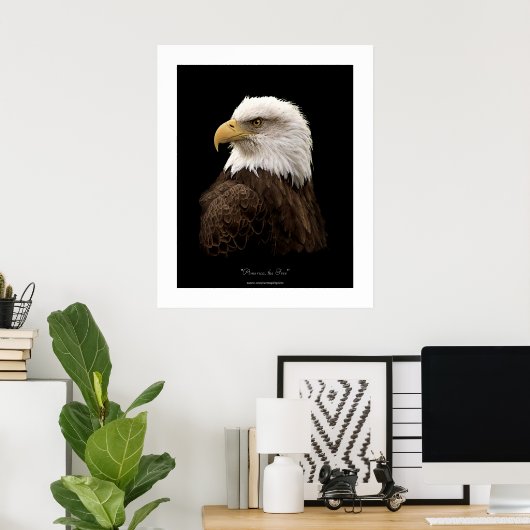Bald Eagle Wildlife Poster Print (Thuiskantoor)