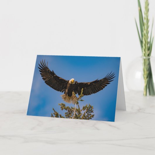 Bald Eagle Wings Bedankt Card (Voorkant)