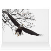 Bald Eagle Wingspread (Binnen Horizontaal (Boven))