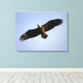 Bald Eagle Wingspread Canvas Afdruk (Insitu (Houten vloer))