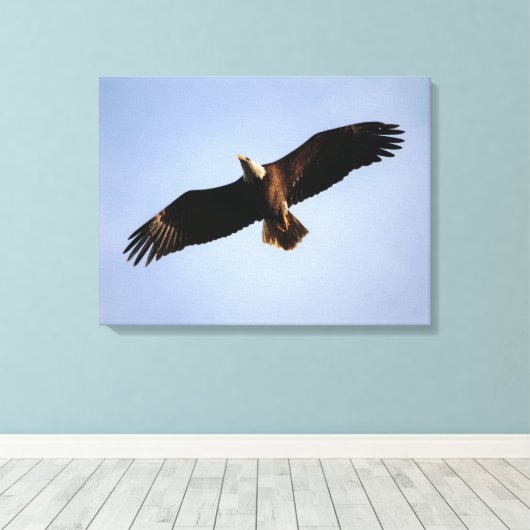 Bald Eagle Wingspread Canvas Afdruk (Insitu (Houten vloer))