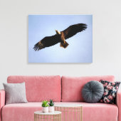 Bald Eagle Wingspread Canvas Afdruk (Insitu (Woonkamer))