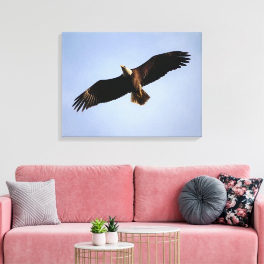 Bald Eagle Wingspread Canvas Afdruk (Insitu (Woonkamer))