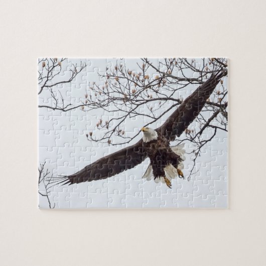 Bald Eagle Wingspread Legpuzzel (Horizontaal)